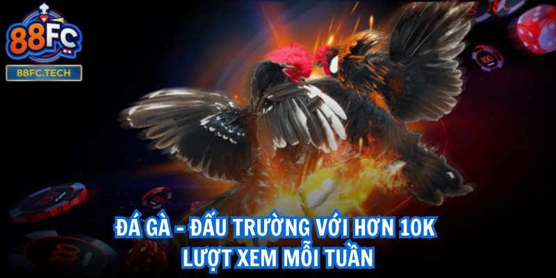 88FC | 88 FC | Nhà Cái Thể Thao 88FC TECH Đẳng Cấp Nhất VN 10/2025 27 Đá gà - Đấu trường với hơn 10K lượt xem mỗi tuần