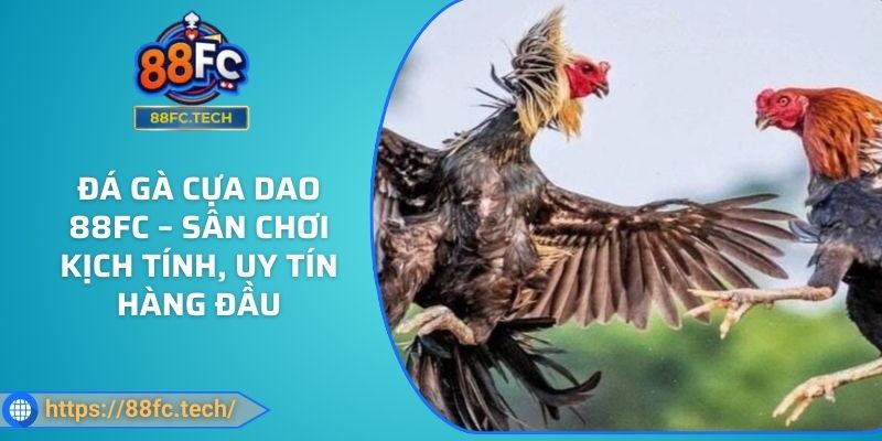Đá Gà Cựa Dao 88FC – Sân Chơi Kịch Tính, Uy Tín Hàng Đầu 4 Đá Gà Cựa Dao 88FC – Sân Chơi Kịch Tính, Uy Tín Hàng Đầu